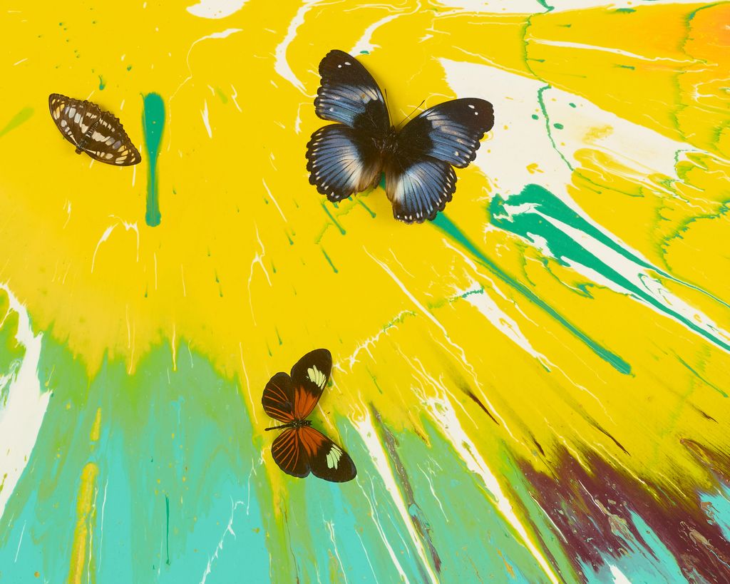 Beautiful New Dawn Painting (with Butterflies) 4