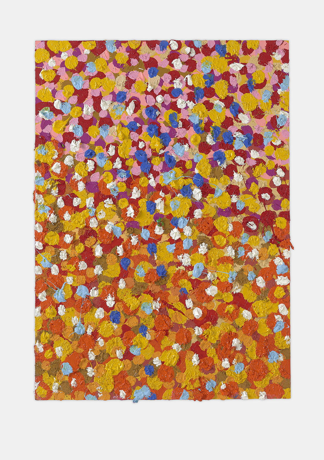 Jocular Veil 1 main image