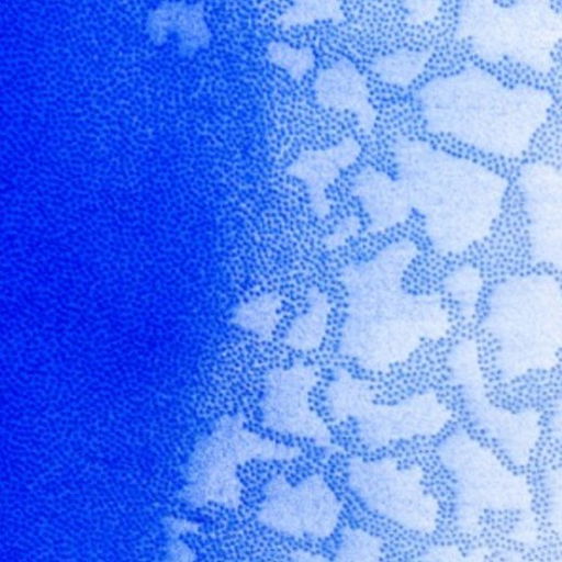 Group exhibition at Foundation Francois Schneider Nov 2025