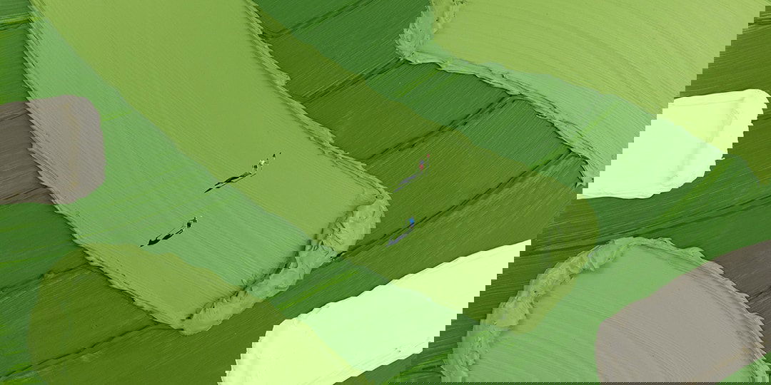 Werner Bronkhorst | HENI News Profile