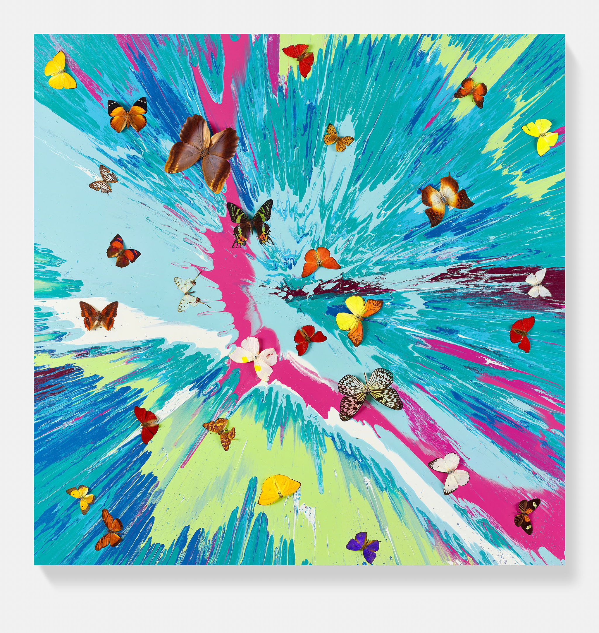 Gentle Zephyr image #1 main image