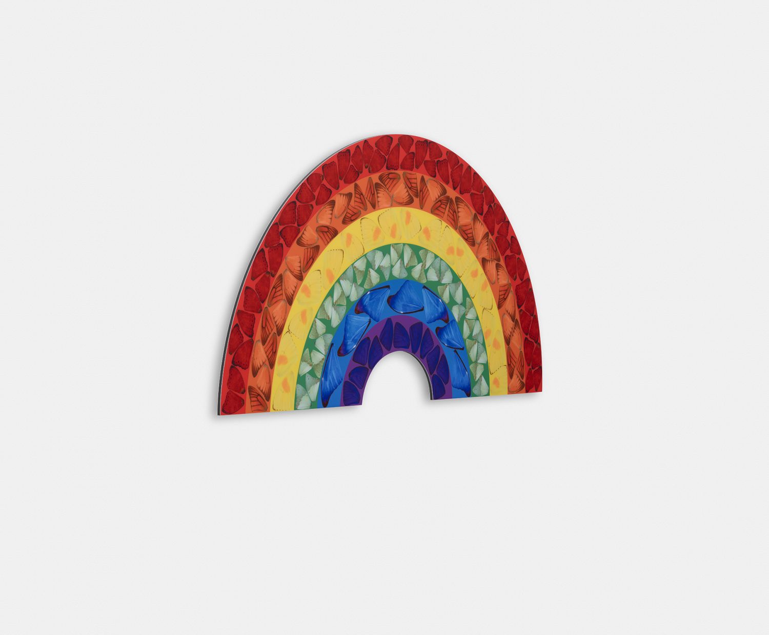 Butterfly Rainbow (Small) image #3