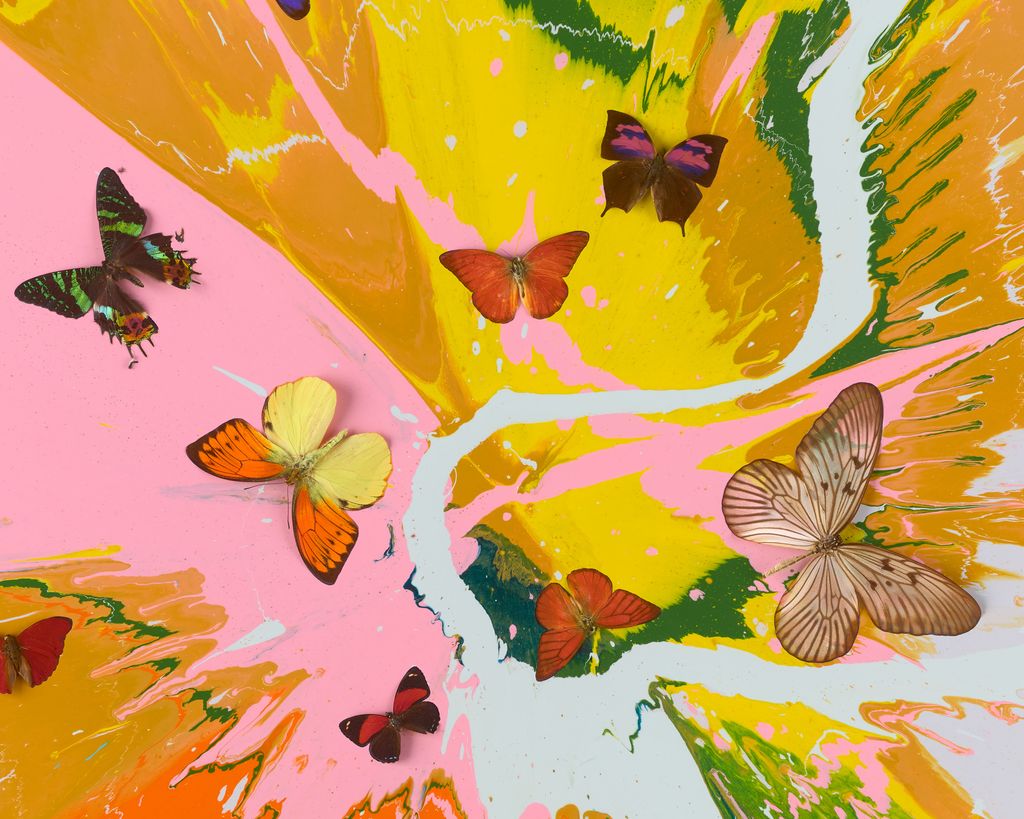 Beautiful Sky in Your Eyes Painting (with Butterflies) 4