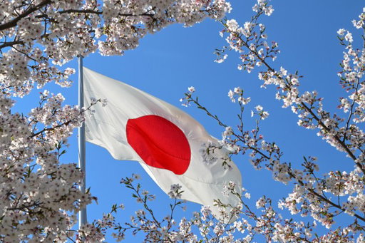 Japan’s New Flag-Desecration Law Raises Alarm for Artists, Museums