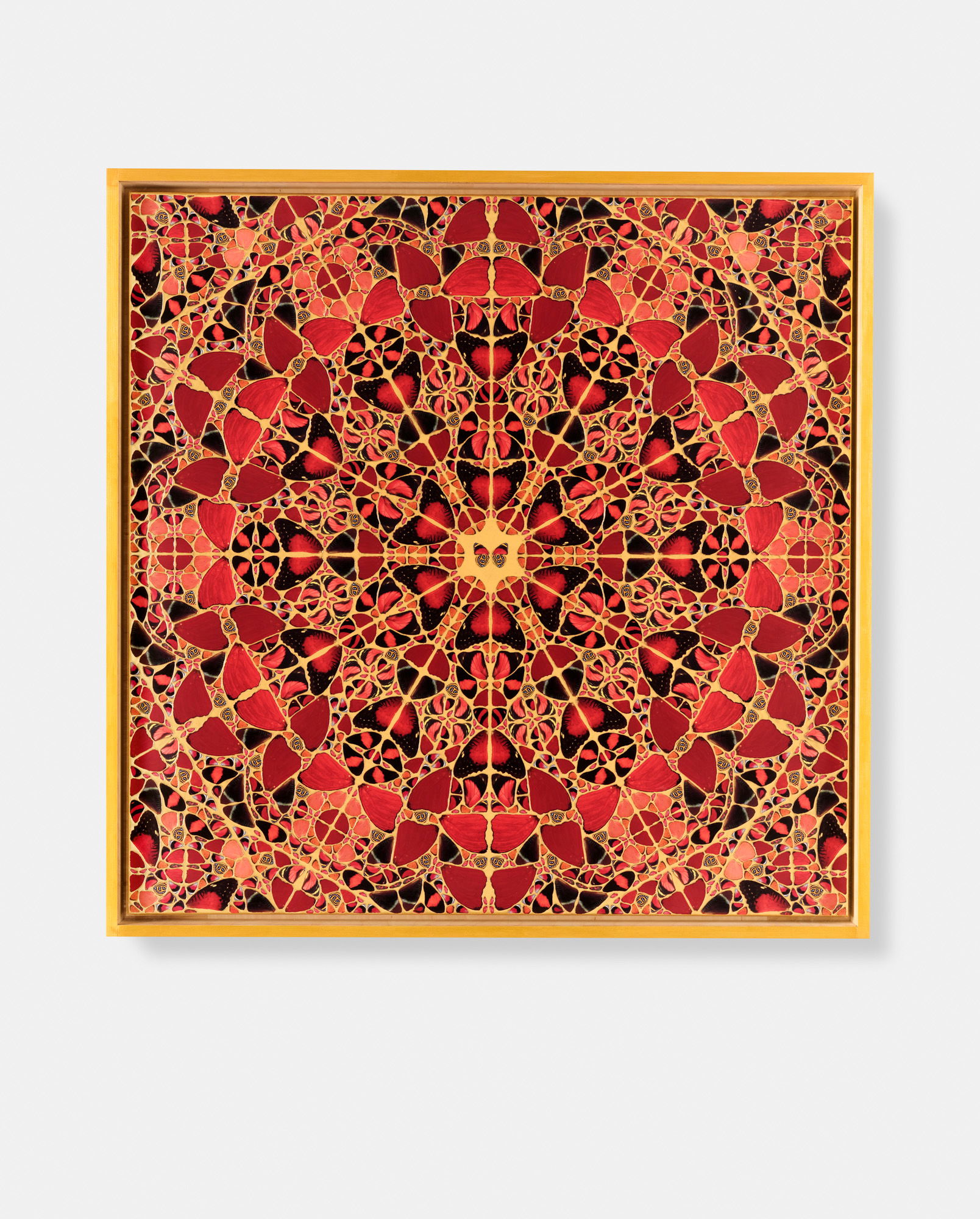 Tarabai / Galla Placidia / Adelaide / Xiaoxu / Pulcheria 5