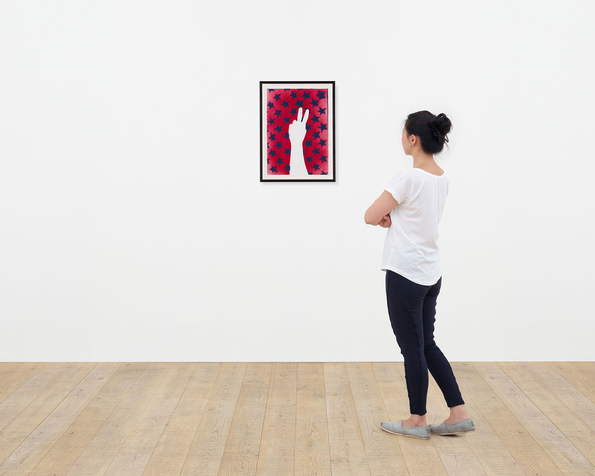 Stars and Stripes III scale image