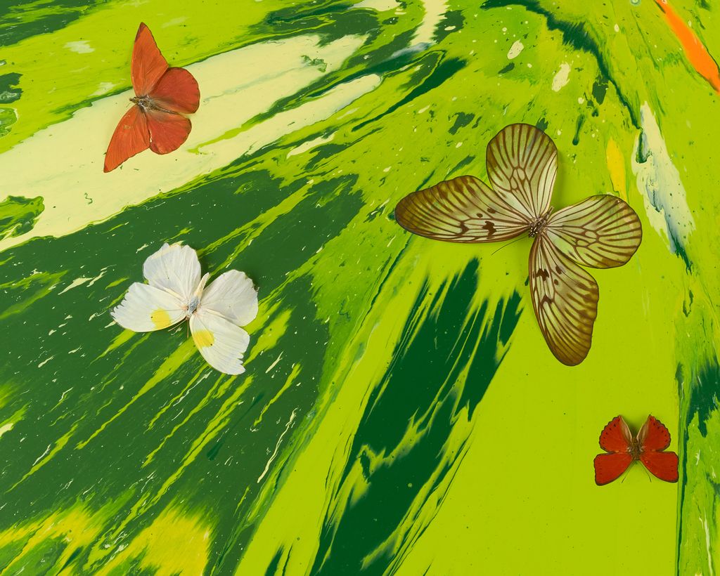 Beautiful Welcome to the Jungle, We are Really Happy You're Here Painting (with Butterflies) 4