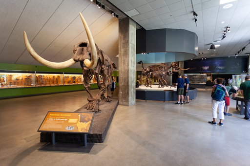 These two major L.A. museums are closing to prep for the Olympics