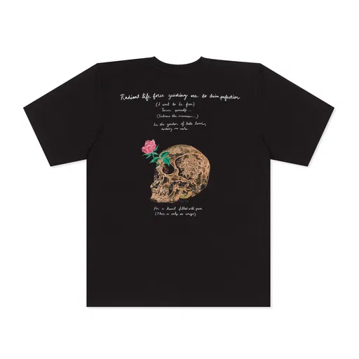 Radiant life force guiding us to divine perfection T-shirt (reverse)