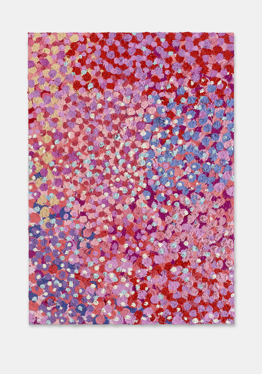 Immaculate Veil  1 main image