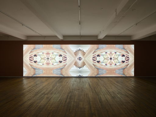 Brice Dellsperger at Passages Centre d’Art Contemporain, Troyes