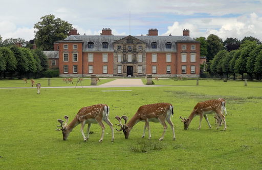 ‘This isn't just silver — it's a story of a man who fell in love with a woman who society deemed unworthy': The large silver sculpture of rutting stags that scandalised Victorian society