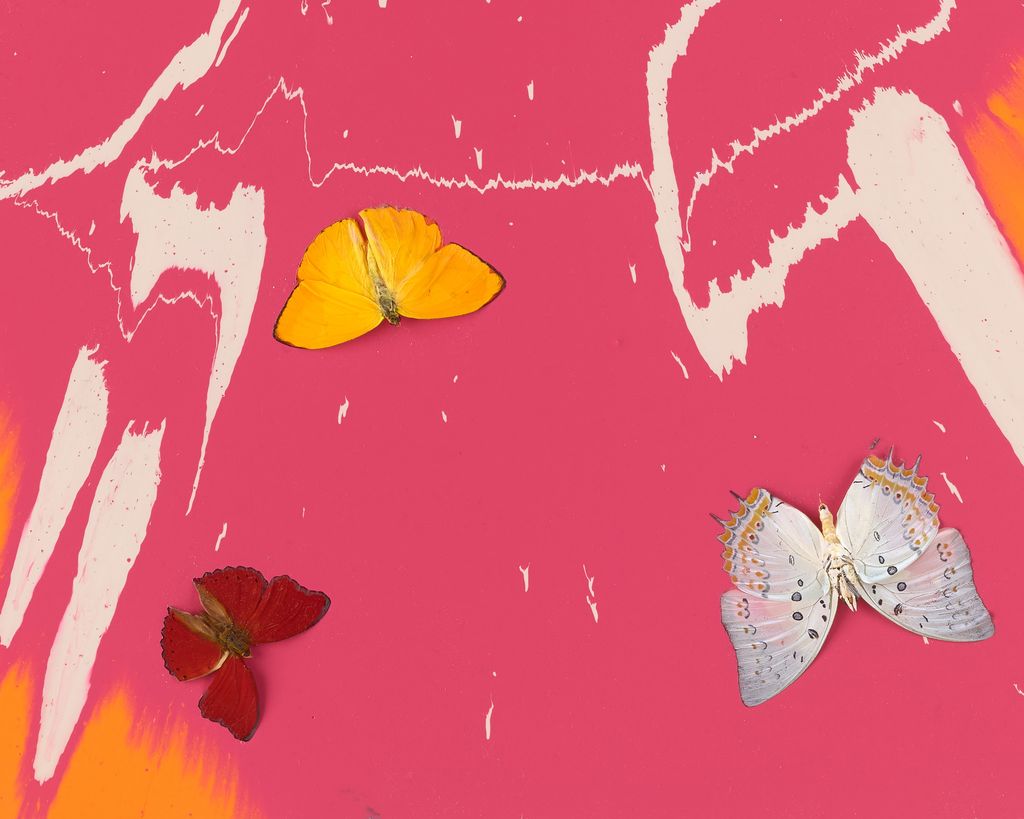 Beautiful Keeping Zen Whilst Moving at Speed Painting (with Butterflies) 4