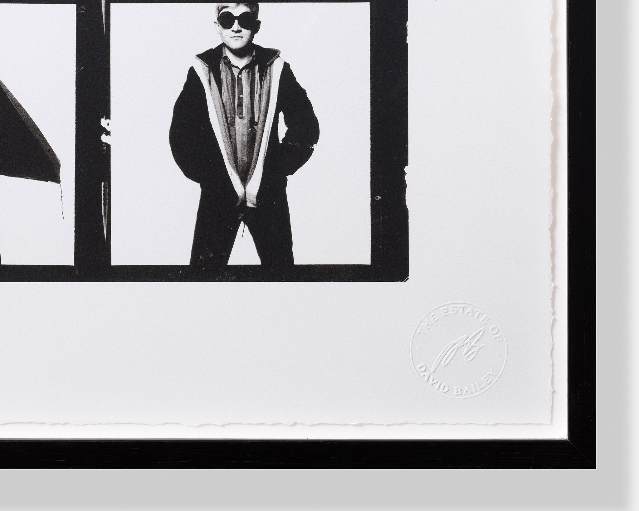David Hockney image #4