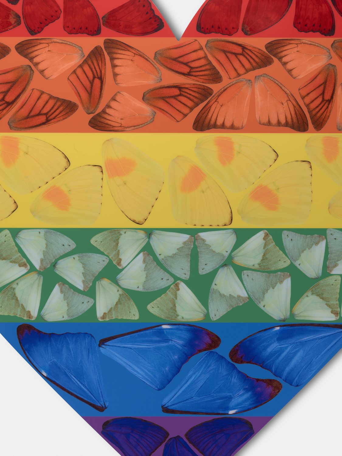 Butterfly Heart (Large) image #2