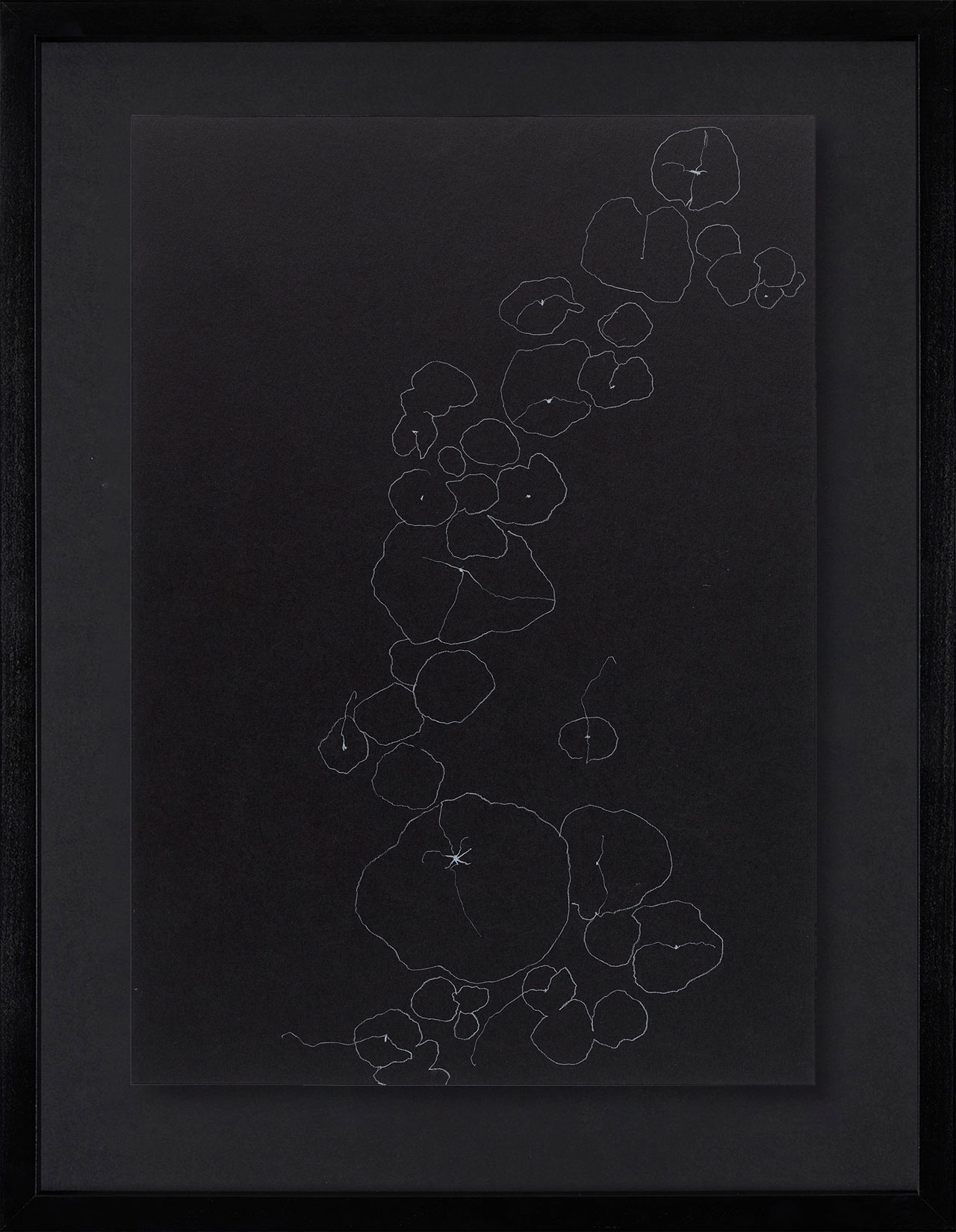 Peel Cottage Garden  1 main image