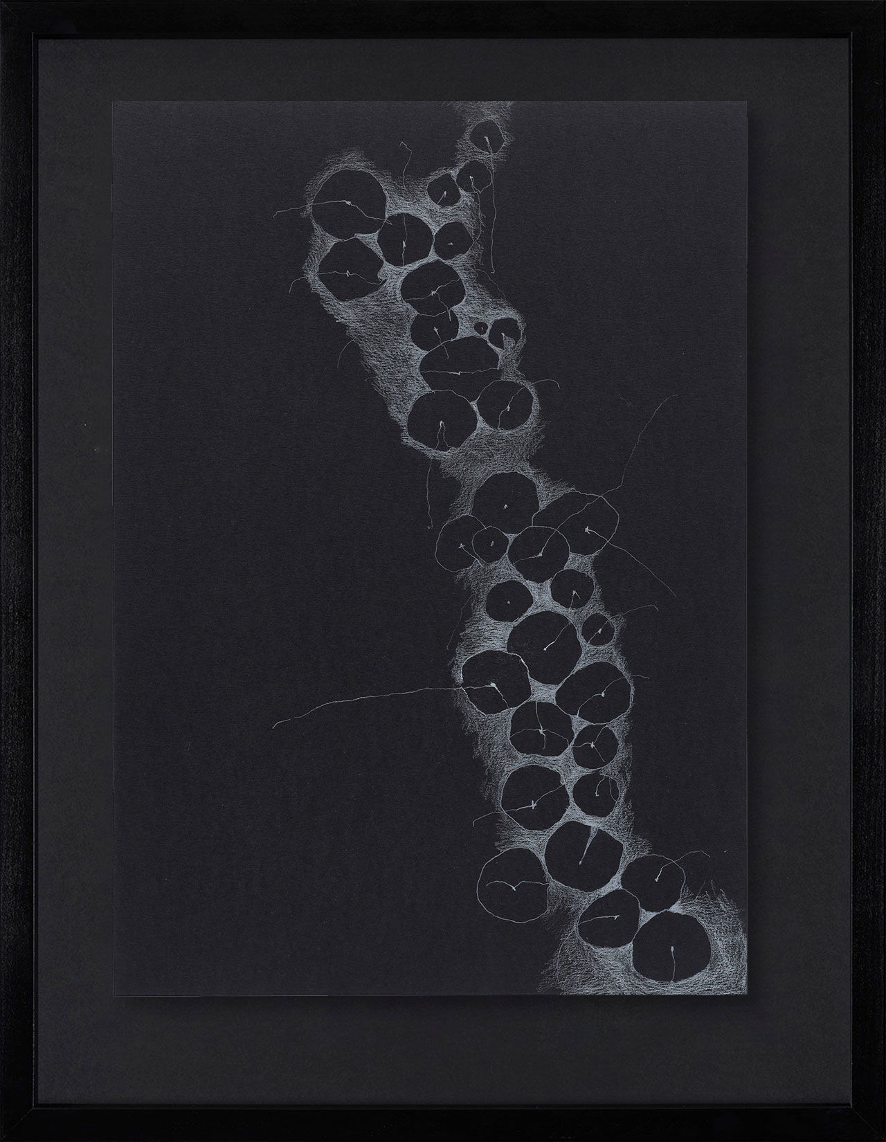 Peel Cottage Garden  1 main image