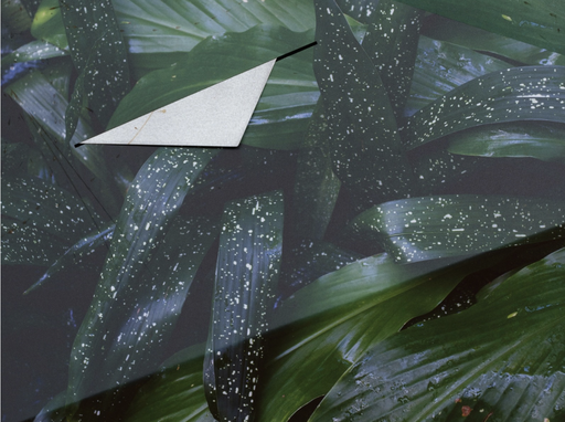 Letha Wilson: Stone's Throw at GRIMM in New York