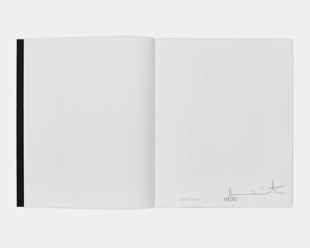 Paper Veils image #4