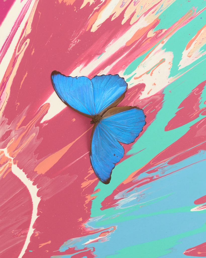 Beautiful Adore, Cherish, Admire Painting (with Butterflies) 3