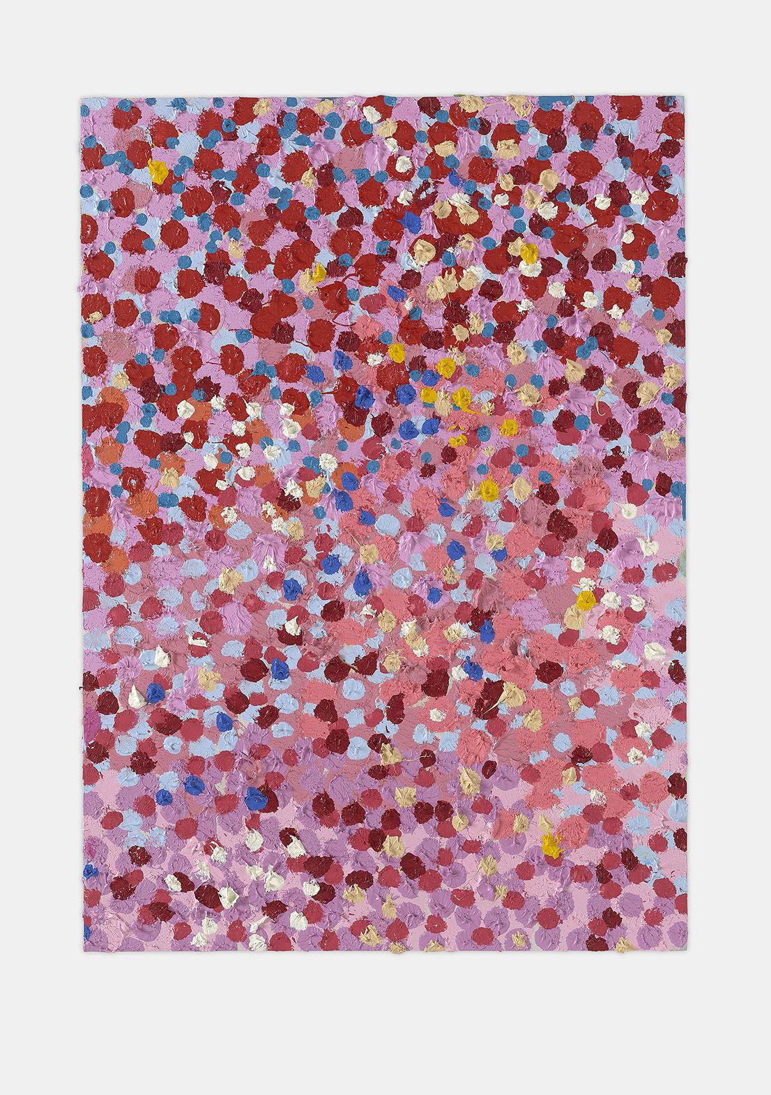 Dazzling Veil 1 main image