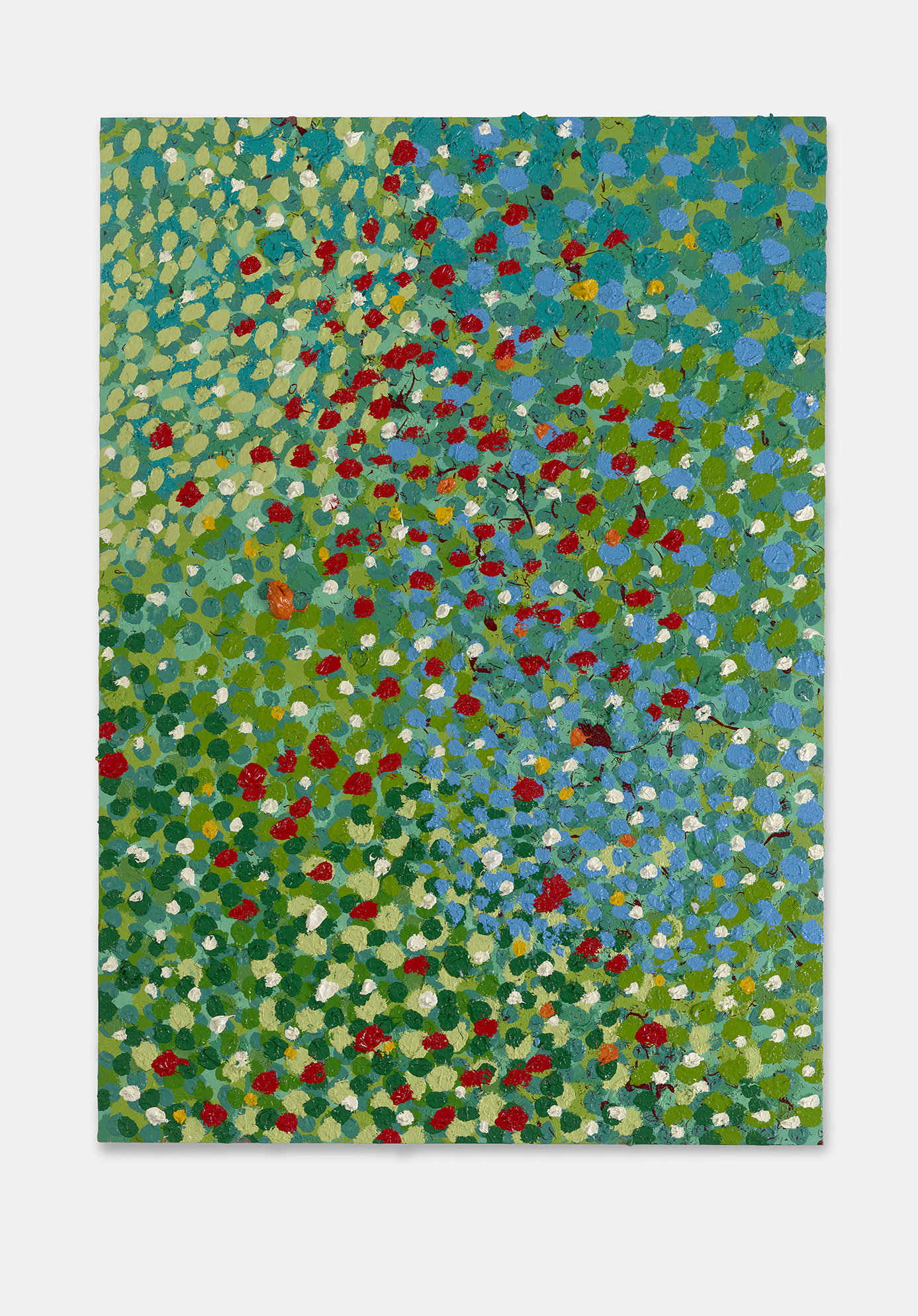 Brilliant Veil 1 main image