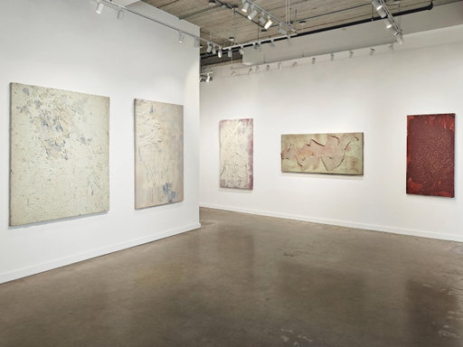 Sherron Francis: Between delicacy and force