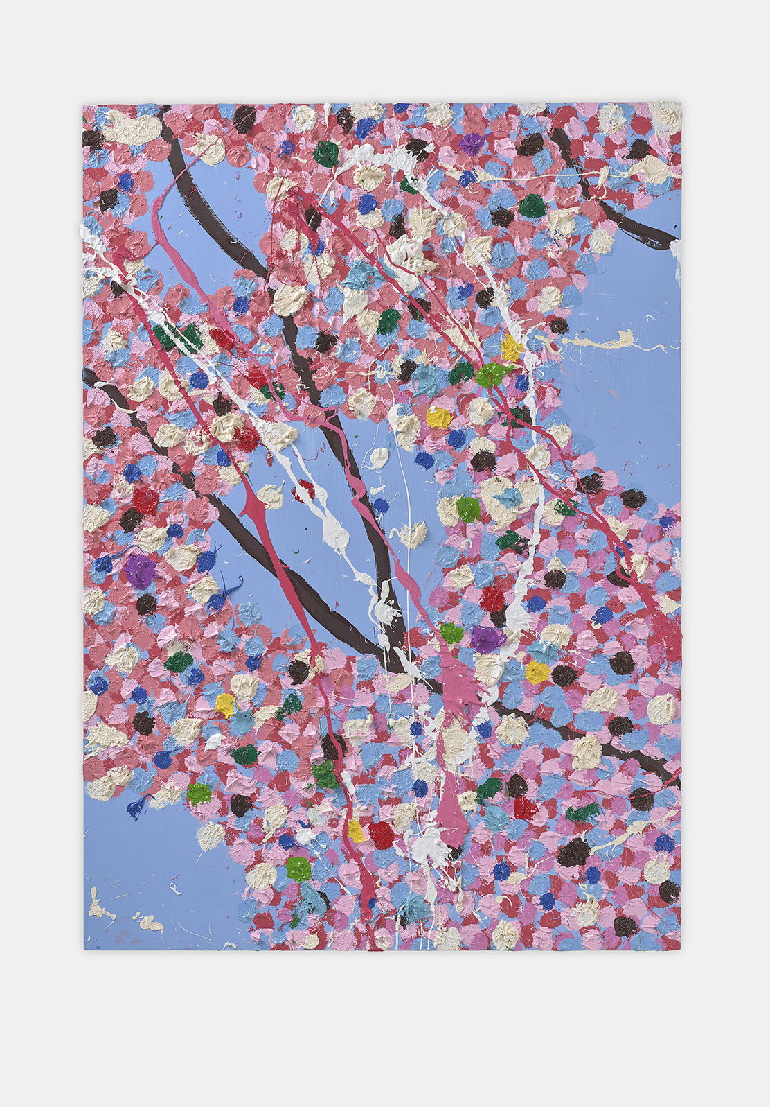 Splendour Blossom 1 main image