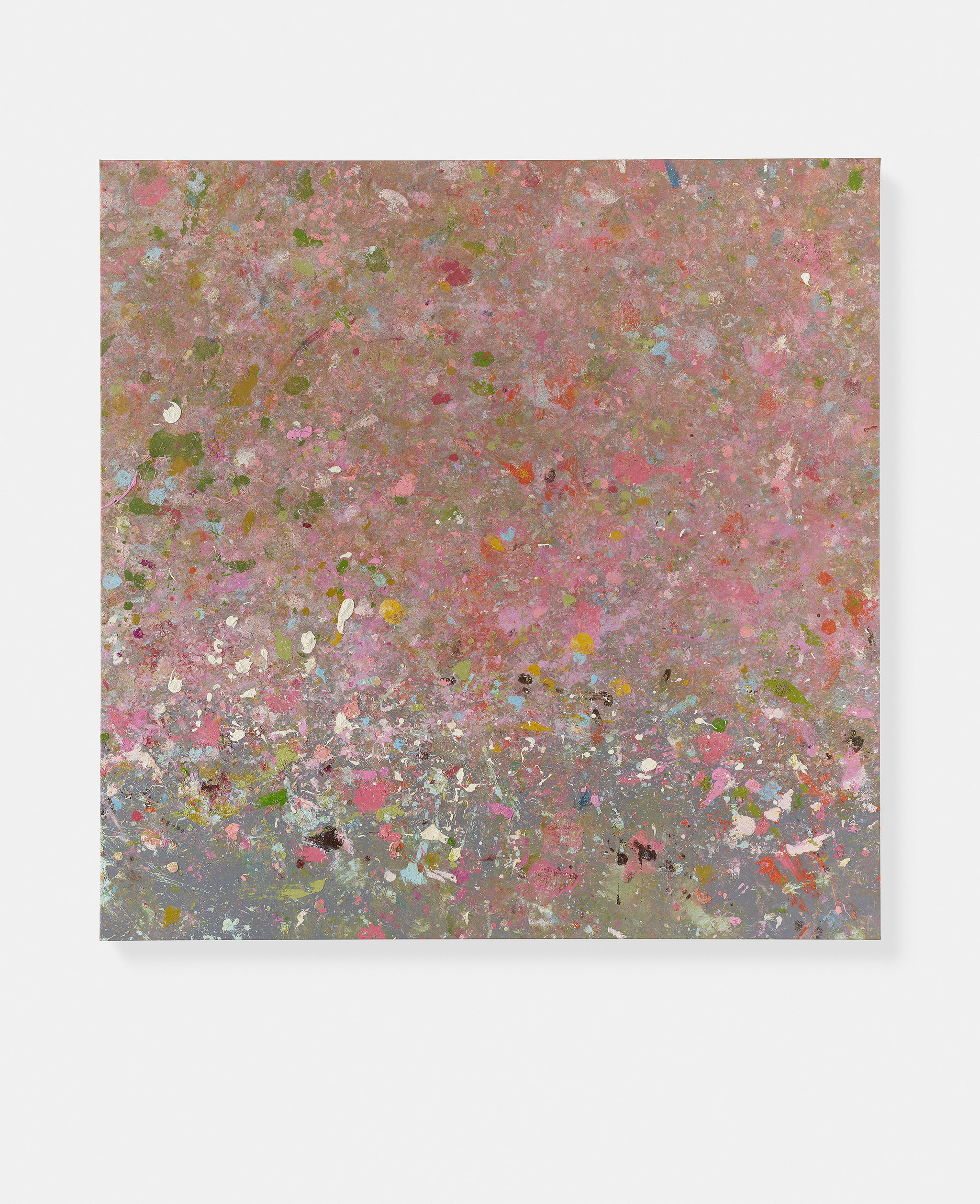 Rye Bay 1 main image