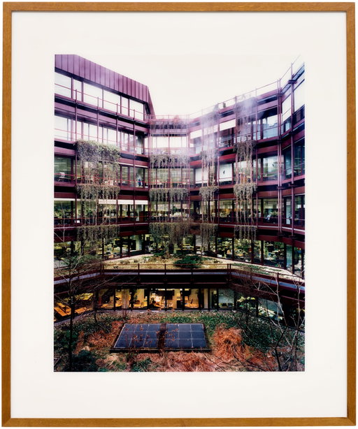 Andreas Gursky Work Heads to Auction