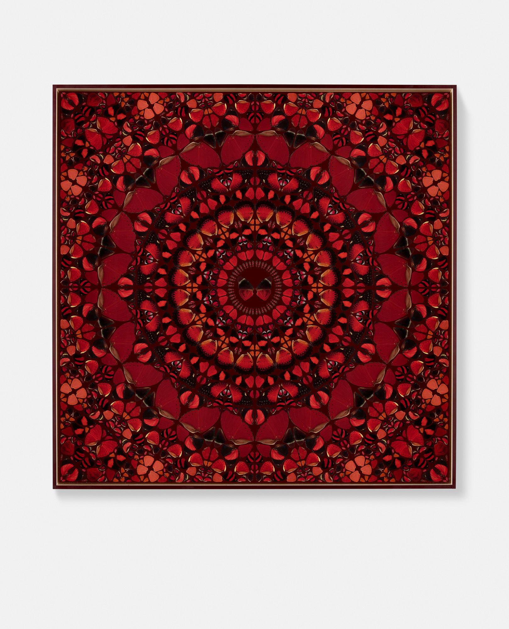 Koken / Eleanor / Livia / Ying / Mentewab 6