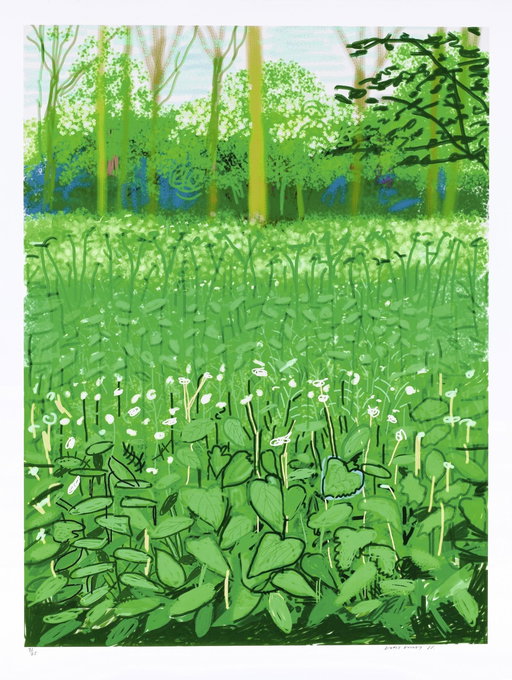 David Hockney Work Sells for 500% Above Estimate at Auction