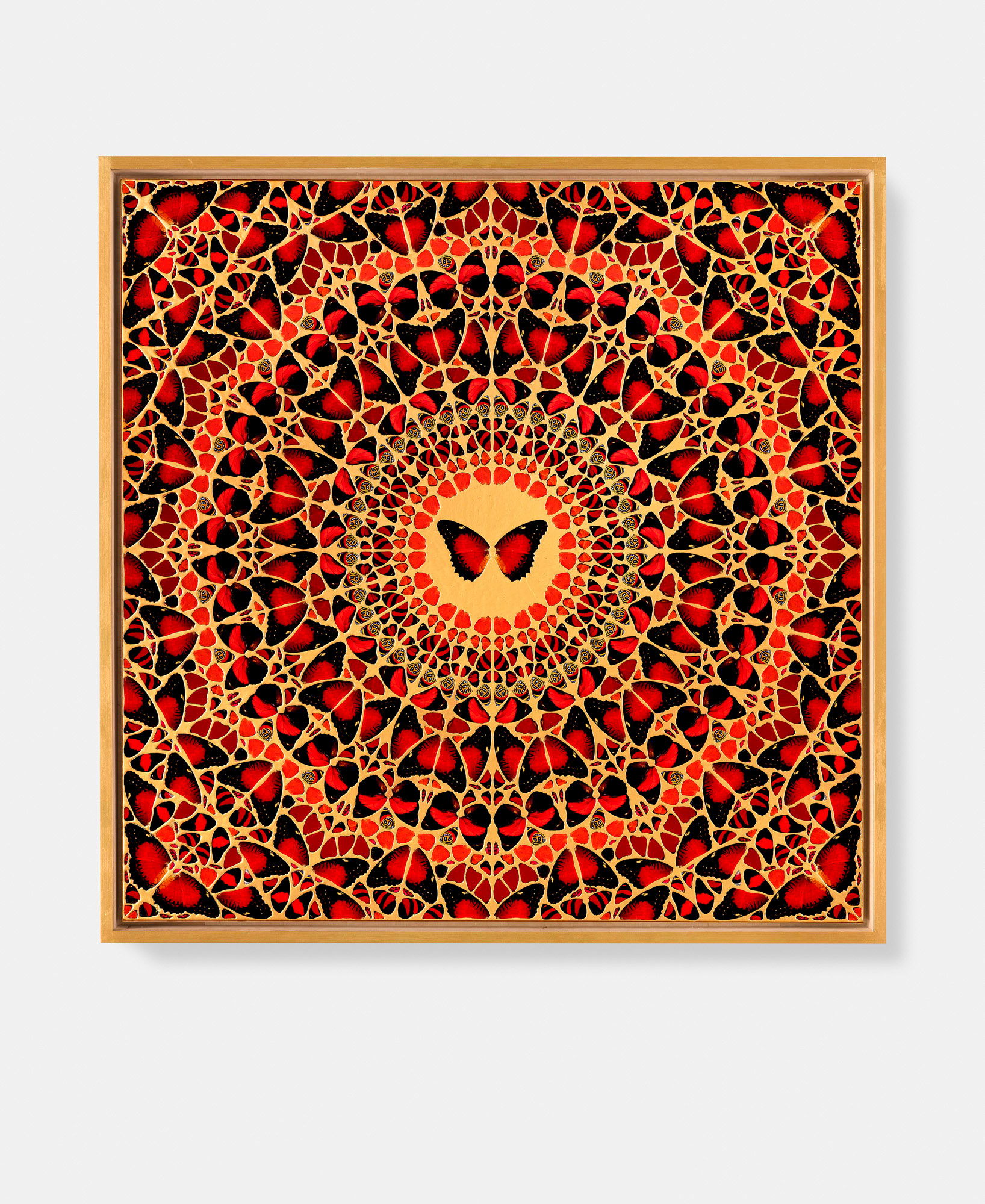 Gisela / Sugabala / Meishō / Zenobia / Danashri 3