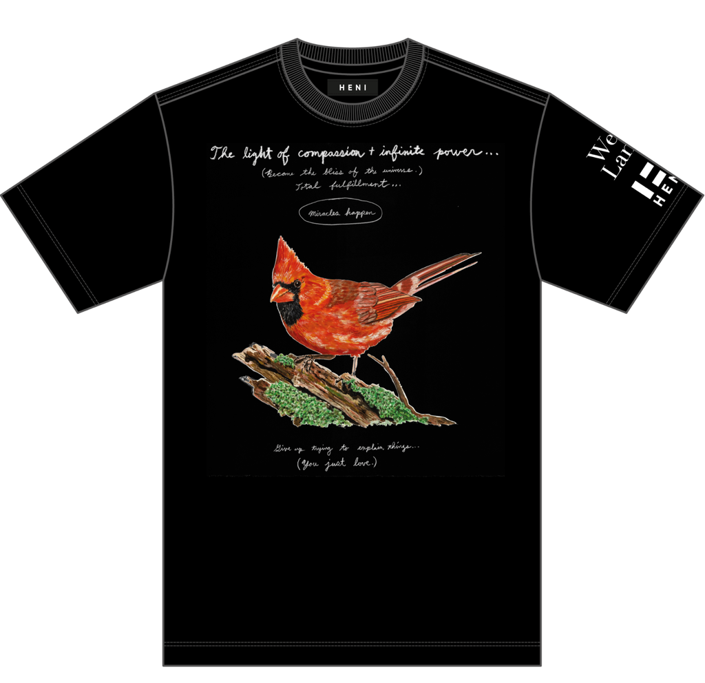 The light of compassion + infinite power T-shirt (black) image #1 main image