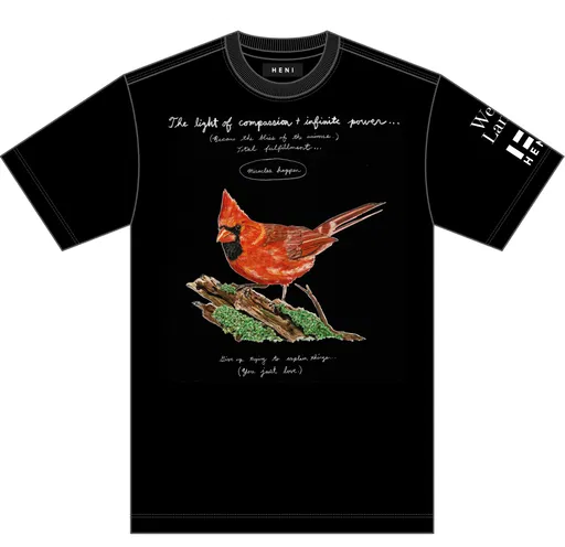The light of compassion + infinite power T-shirt (black)