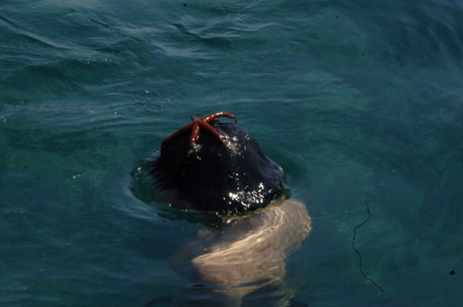 "The Dreamers": Seeing the World Through Teenage Eyes — Blind Magazine