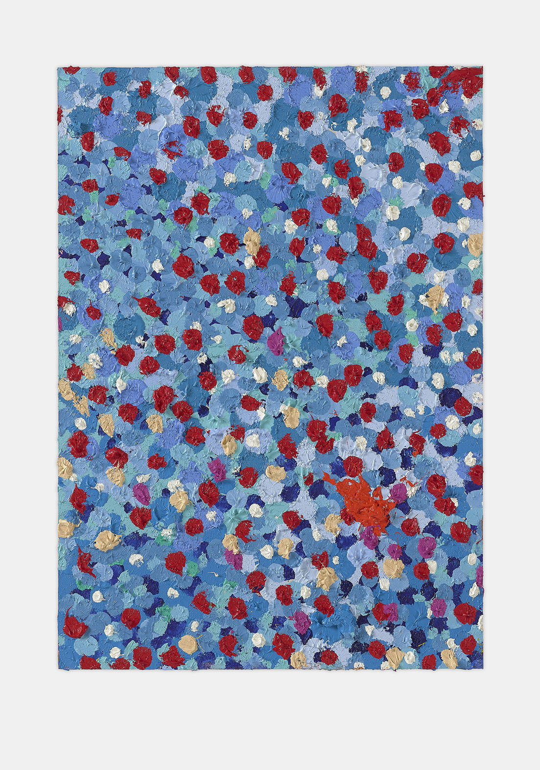 Starry Veil 1 main image