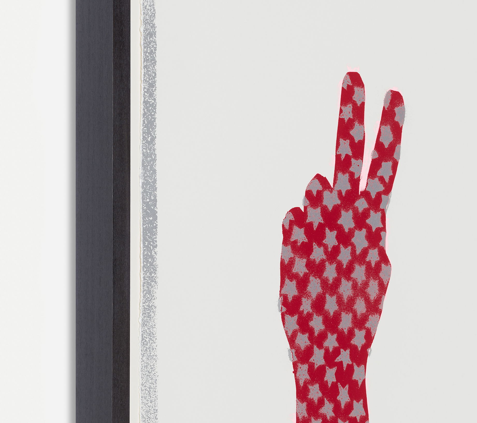 Stars and Stripes V image #2