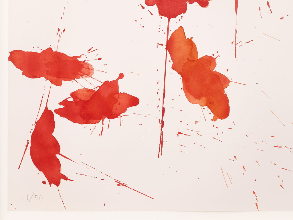 Vibrancy and Grace image #3