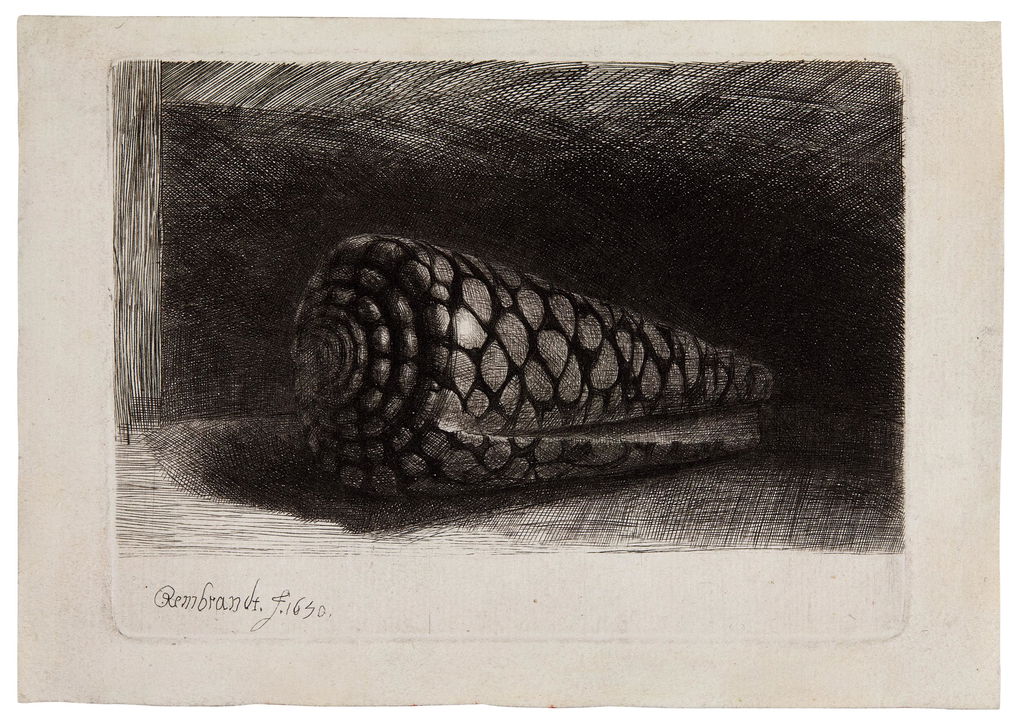 The Shell by Rembrandt sold for $336,400.
Image courtesy of Sotheby's, Online