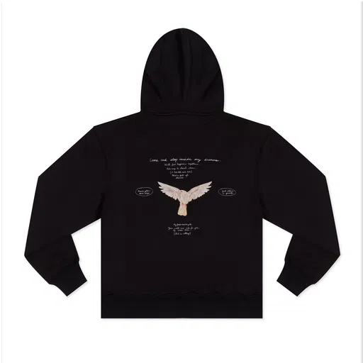 Come and step inside my dreams Hoodie (reverse)