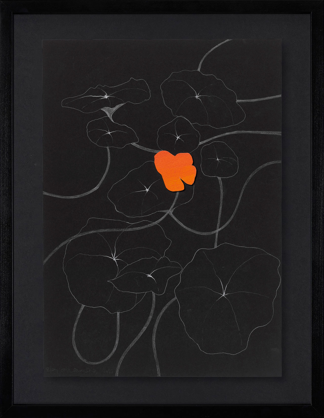 Peel Cottage Garden  1 main image