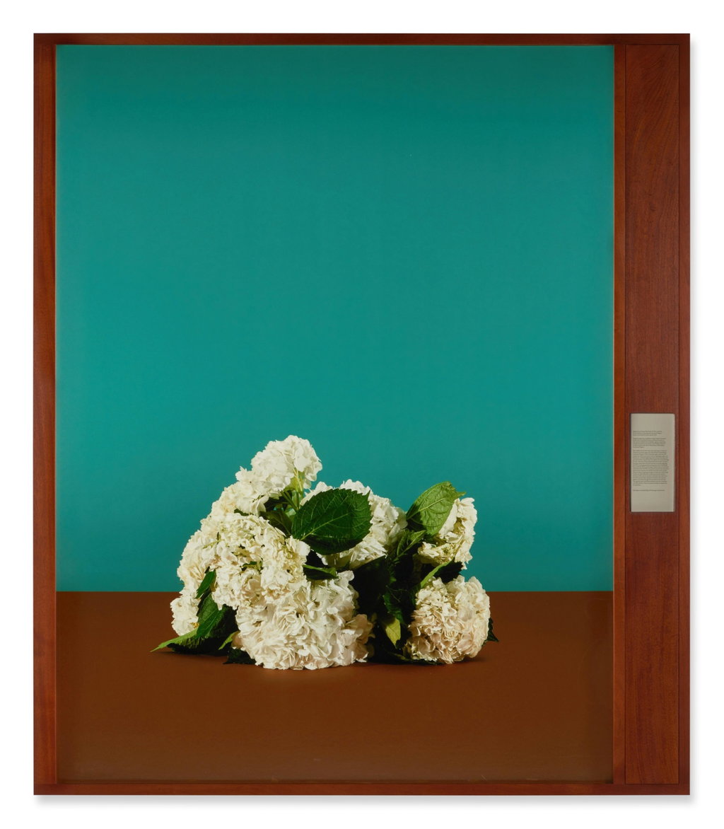 Agreement to develop Park Hyatt St. Kitts under the St. Kitts & Nevis Citizenship by Investment Program. Dubai, United Arab Emirates, July 16, 2012 by Taryn Simon sold for $70,400. Image courtesy of Sotheby's