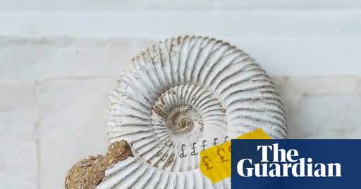One of UK’s best fossil collections sold overseas in ‘loss to the nation’