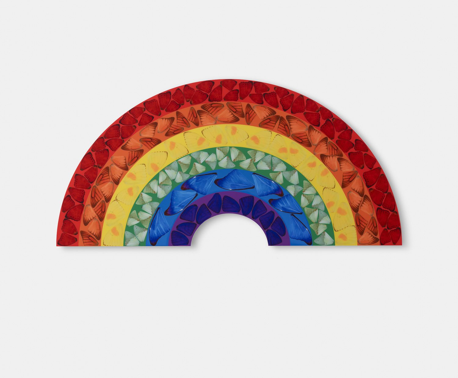 Butterfly Rainbow (Small) image #1 main image