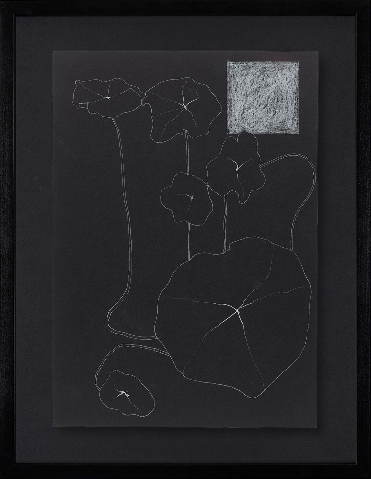 Peel Cottage Garden  1 main image