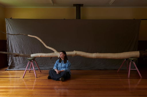 Dynamic program of exhibitions coming to Wangaratta Art Gallery