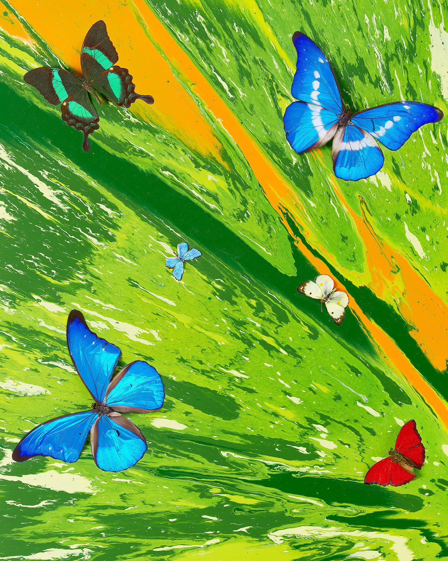 Heavenly Elysia image #3