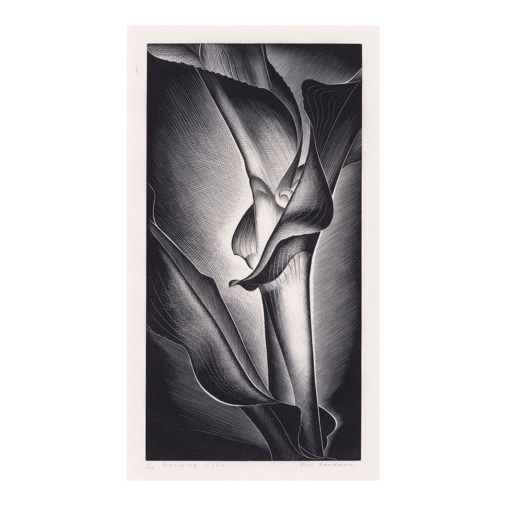 Growing Corn by Paul Landacre sold for $17,900. Image courtesy of Bonhams