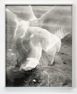 Lukas Hoffmann: Lukas Hoffmann at Annex14 in Zurich